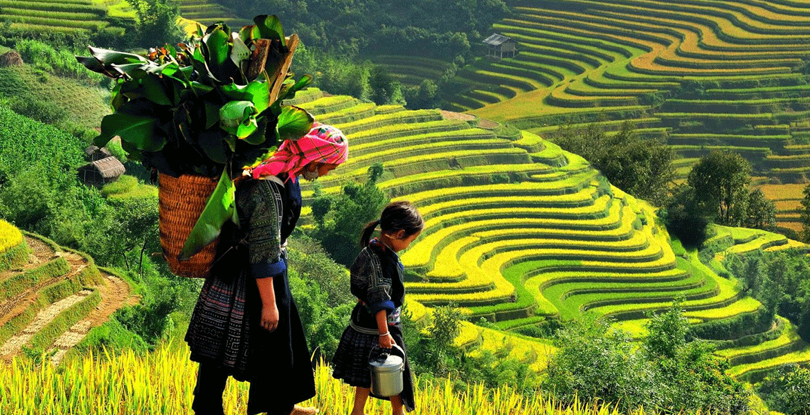 The Mountains and Sea of Northern Vietnam