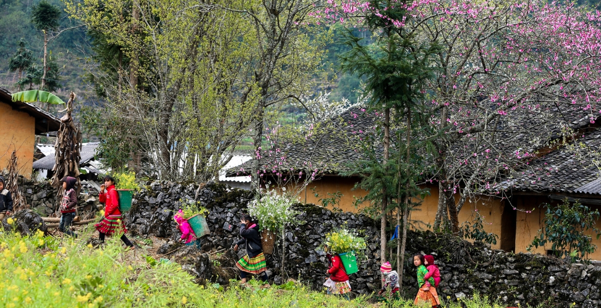 Ha Giang Loop & Ban Gioc Waterfall 5 Days 4 Nights