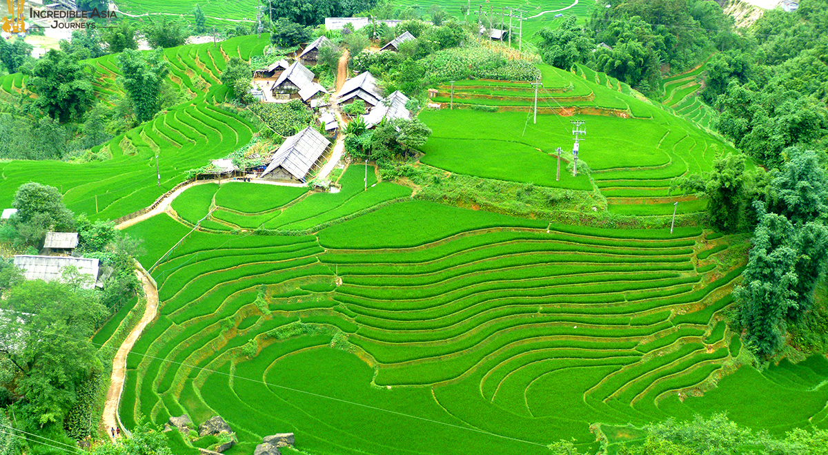 Short Sapa Tour & North Vietnam