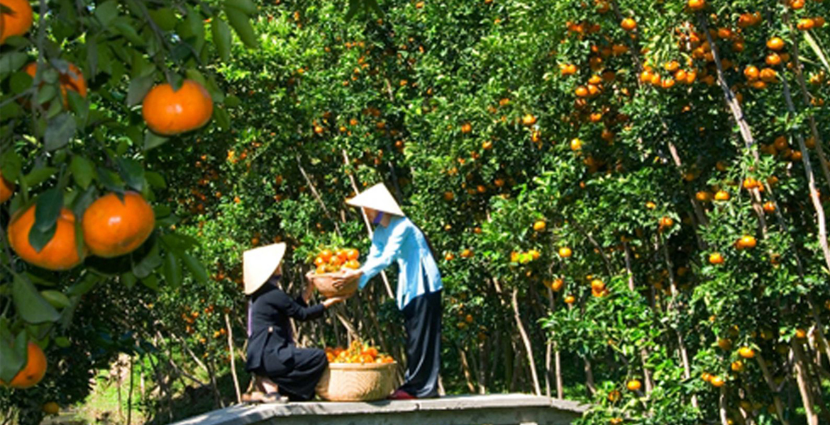 Best Ho Chi Minh Tour with Local Floating Market