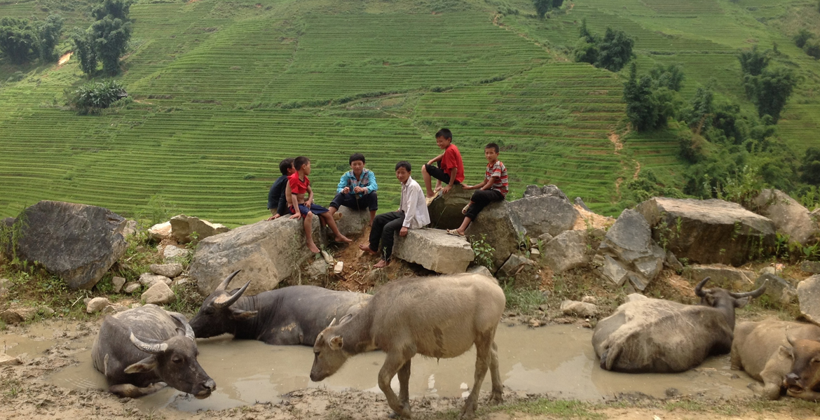 Authentic Vietnam Exploration