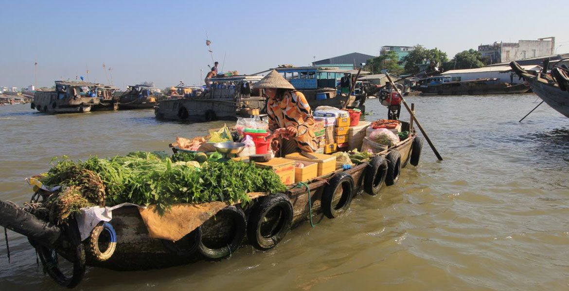 A Glimpse of Southern Vietnam