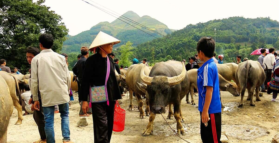 Bac Ha Market Day Tour