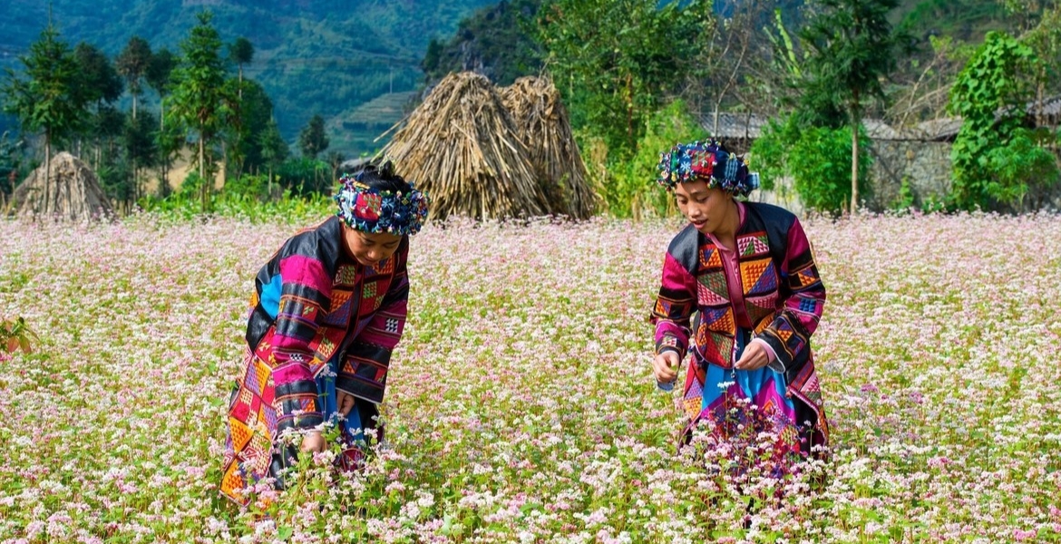 Ha Giang Loop & Ban Gioc Waterfall 5 Days 4 Nights