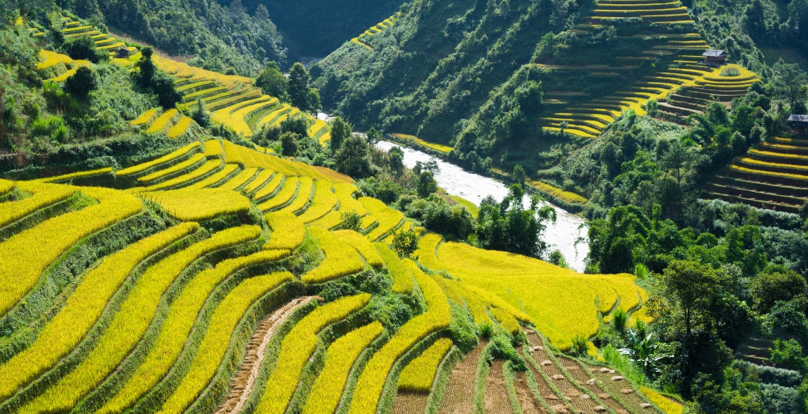 Hanoi to Sapa & Halong Bay 1 Week