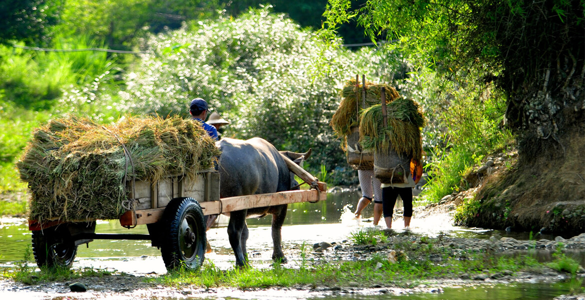 Pu Luong Discovery Day Tour