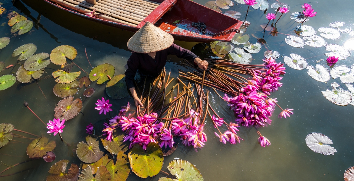 Hanoi to Sapa & Halong Bay 1 Week