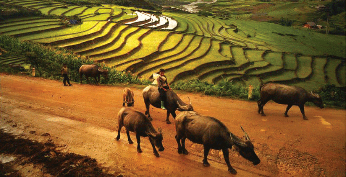 Discover Vietnam Mysterious Northeast