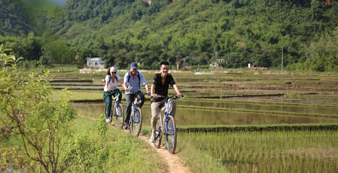 Hoa Lu Tam Coc Day Trip