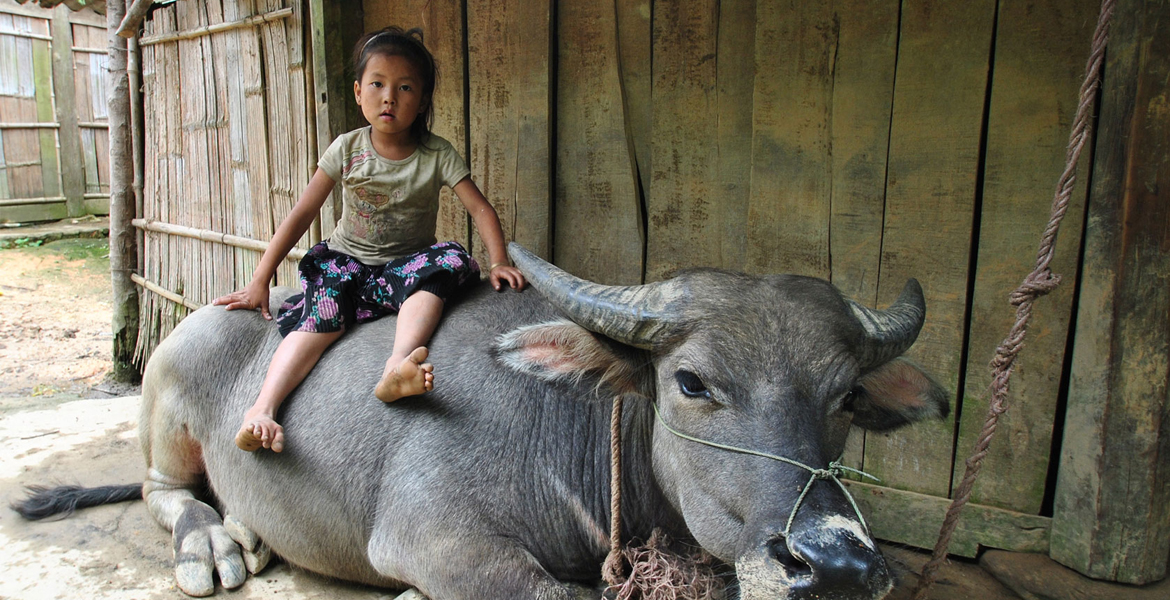 Vietnam and Cambodia Holiday