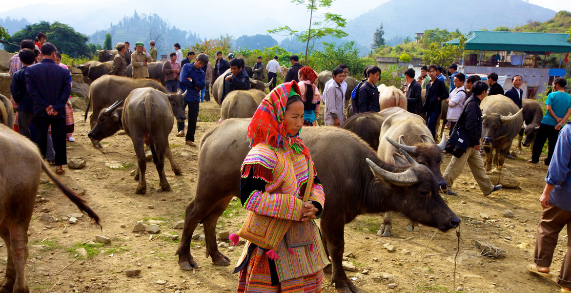 Sunday Bac Ha Market Tour