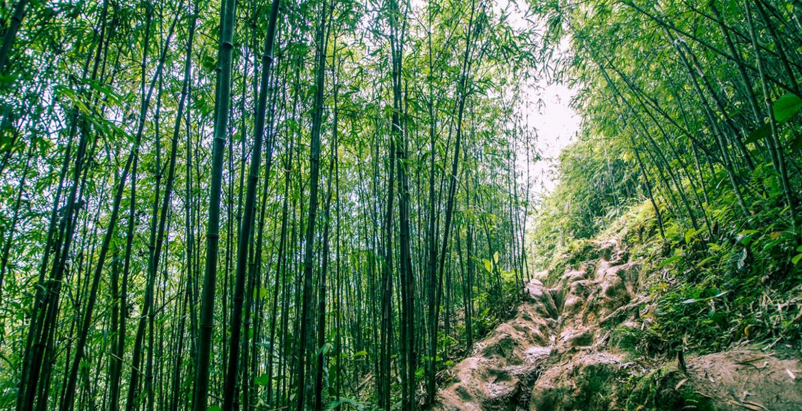 North Vietnam & Sapa Excursions