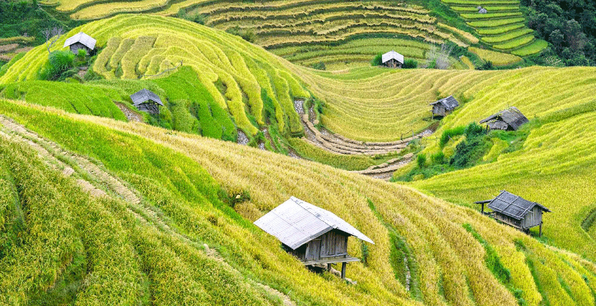 Unique Adventure in North Vietnam