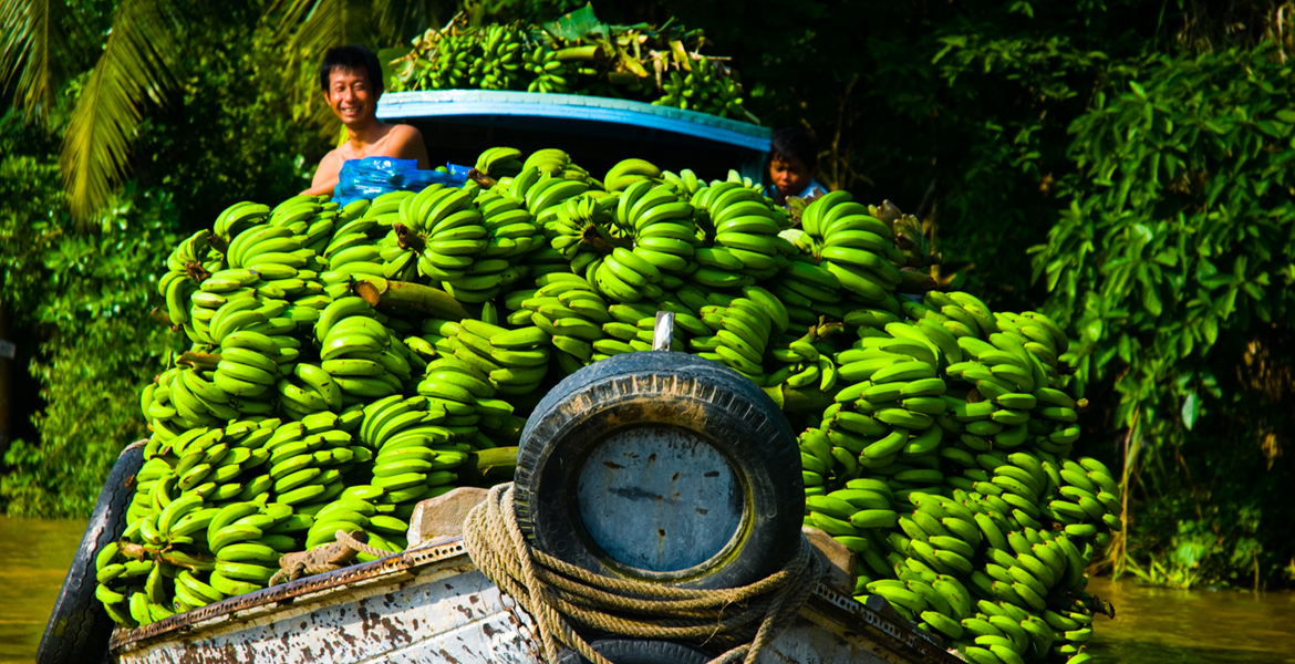 Vietnam Authentic Tour