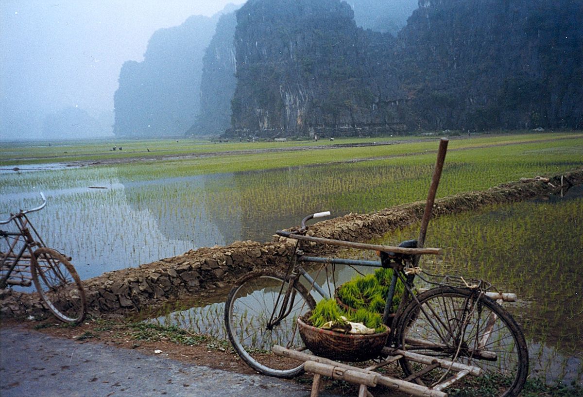 Essence Life Of North Vietnam