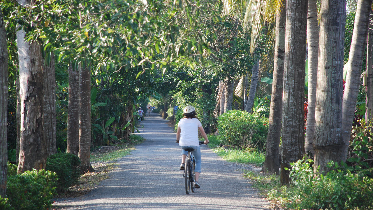 Foody Tour in Ho Chi Minh and Mekong Delta