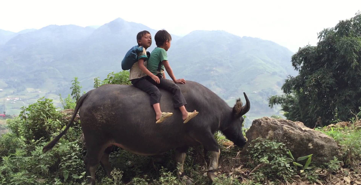 Sapa Motorbike